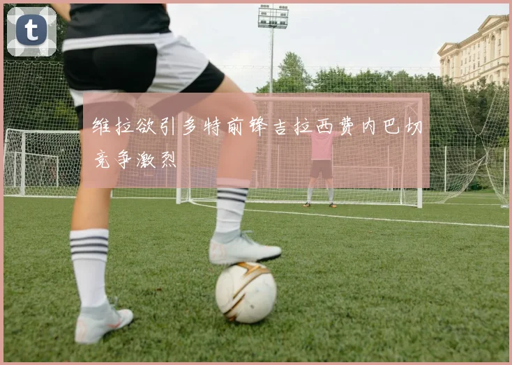 维拉欲引多特前锋吉拉西费内巴切竞争激烈